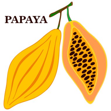 Vektör illüstrasyonu, parlak renkli desen, tropikal meyveler, papaya, beyaz arkaplanda izole et