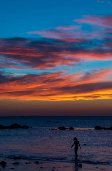 Silueta Una Persona Caminando Playa Idílica Atardecer —  Fotos de Stock