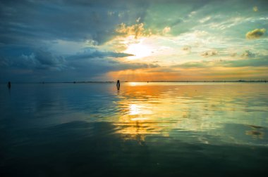 Venedik gölünün üzerinde renkli yeşil maviler belirdi 