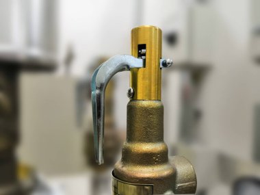 Bronzdan yapılmış hava ya da buhar basıncının yakın çekim görüntüsü. Basınç boşaltma vanası olarak da bilinir.