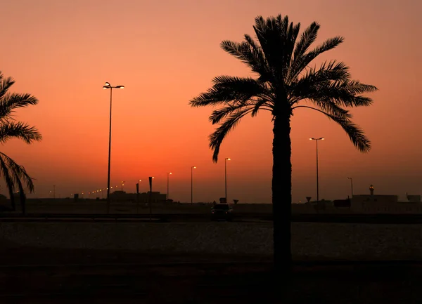Palm Tree And Street Lights In Dark Sunset. Photo Taken From Bahrain Asker Beach. Beautiful Landscape