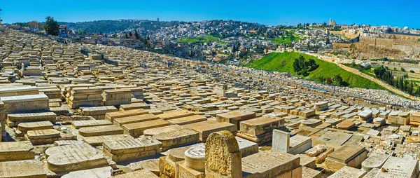 Le cimetière juif sur le mont des Oliviers — Photo