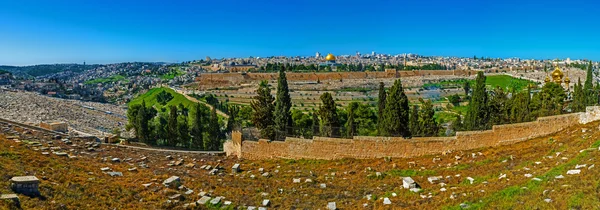 Zeytin Dağı'nın Yamacı