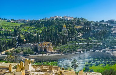 The churches on the Mount of Olives