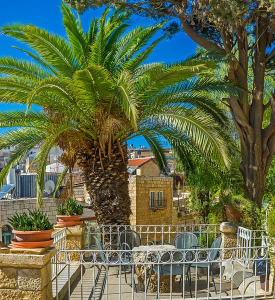 palmiye ağacı altında