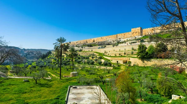 Jeruzsálem falai a Kidron-völgyben — Stock Fotó