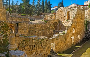 Among the ancient ruins