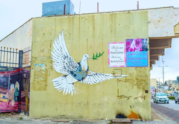 장갑 비둘기 — 스톡 사진