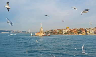 Martılar ile deniz manzarası