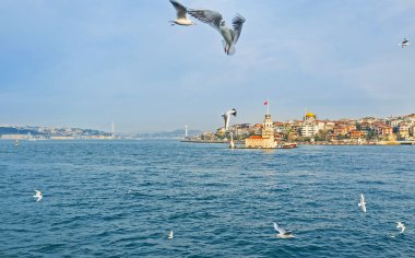 İstanbul gezileri