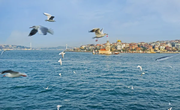 O inverno em Istambul — Fotografia de Stock