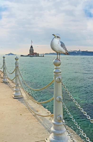 Le phare d'Istanbul — Photo