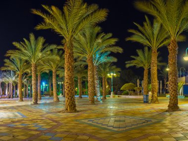 Gezinti yolundaki avuç içi