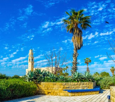 İbrahim Shechterman bahçede