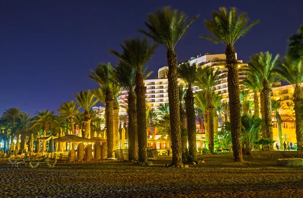 The city behind the palms — Stock Photo, Image