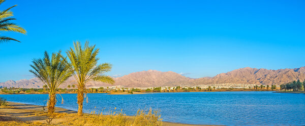 Ладони на берегу
