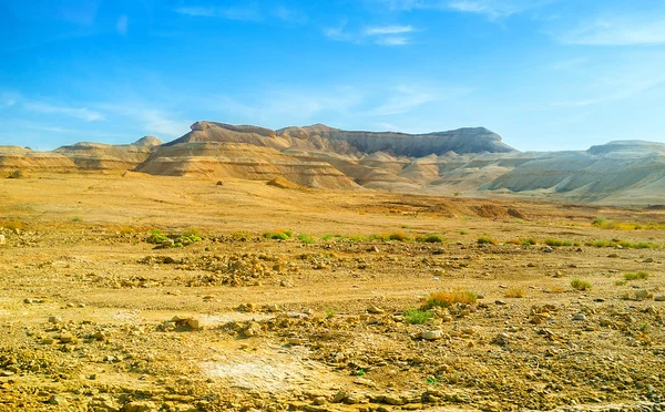 Le paysage désertique — Photo