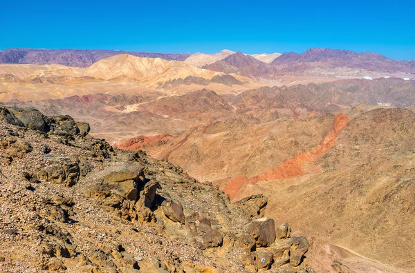 La belleza del desierto — Foto de Stock