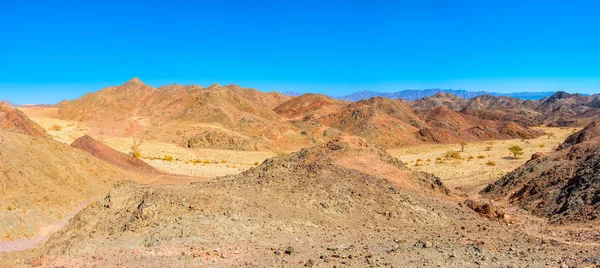 Eilat'da yürüyüş