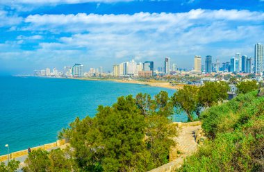Jaffa'nın yeşil tepeler