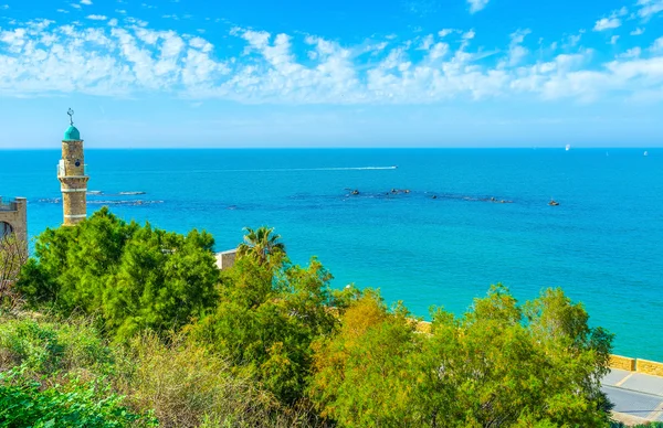 Parkerna i Tel Aviv — Stockfoto