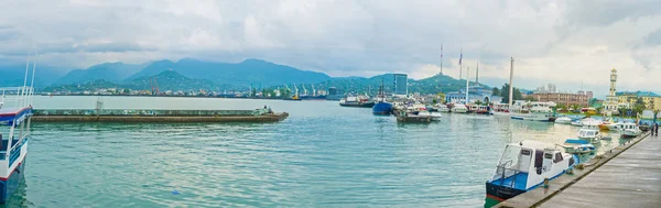 Batum'un doğal sahili — Stok fotoğraf