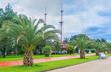 Yeşil arasında gemi