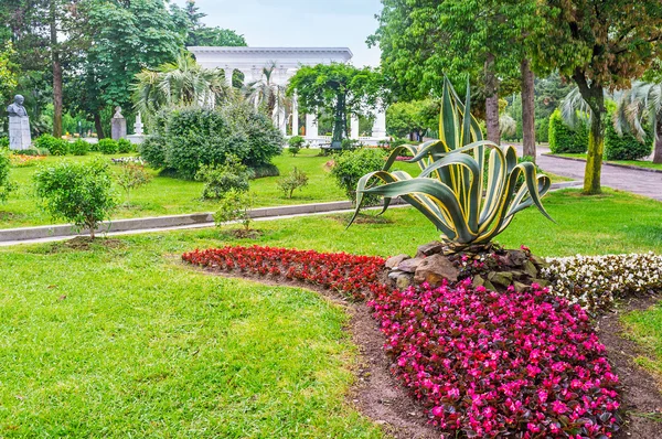 Los coloridos macizos de flores en Batumi — Foto de Stock