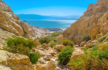 Ein Gedi gorge