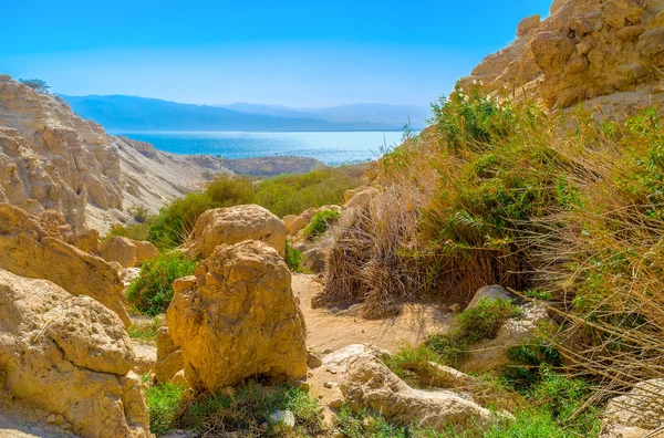 Les rochers d'Ein Gedi — Photo