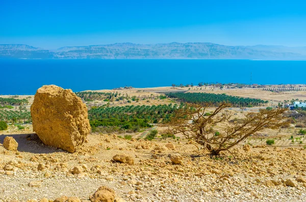 Der Kibbuz von einem gedi — Stockfoto