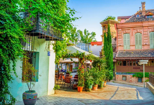 The street decorated with plants — Stock Photo, Image