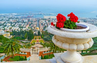 Kırmızı çiçekler