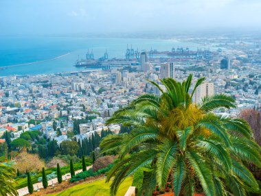 Haifa cityscape bakan