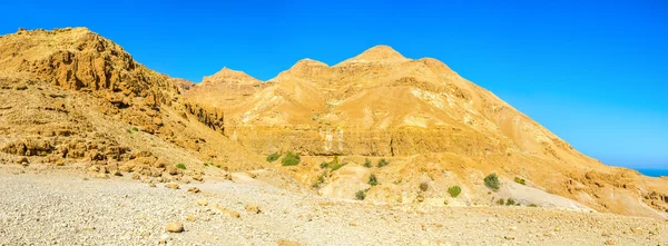 The dry soil — Stock Photo, Image