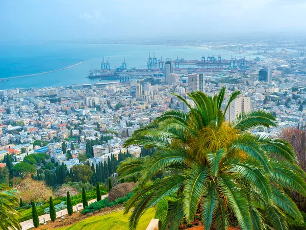 Met uitzicht op de skyline van Haifa — Stockfoto