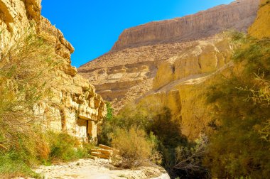 Ein Gedi gorge