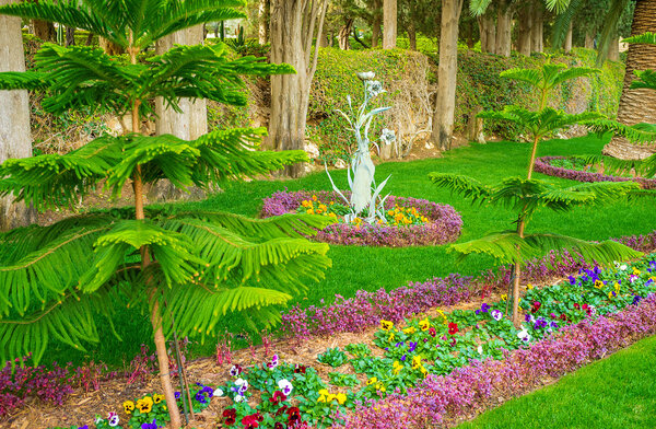 Зеленый сад
