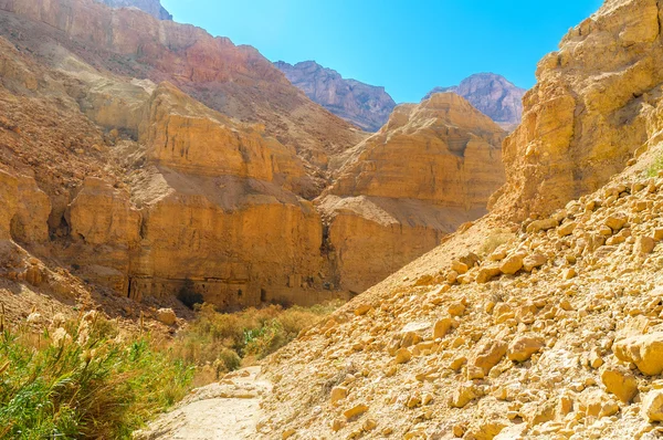 Les roches colorées du désert de Judée — Photo