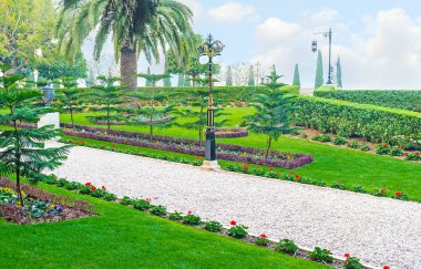 Yeşillikler arasında