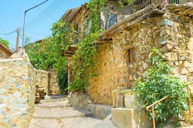 Üzüm üzüm ile ev