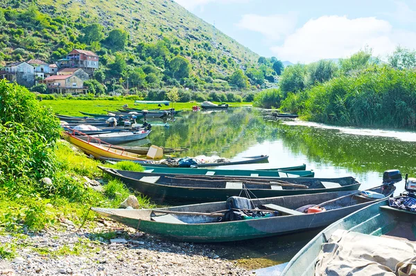 Agroturismo em Montenegro — Fotografia de Stock