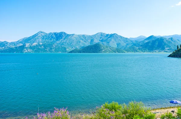 Resort sur le lac Skadar — Photo