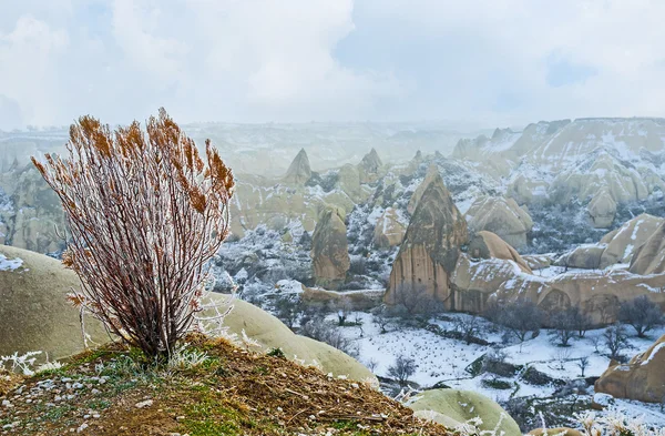 The view from the hill — Stock Photo, Image