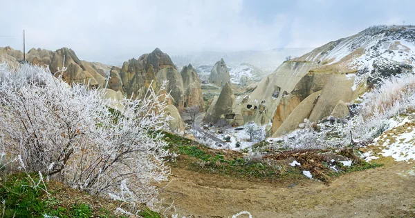 Las ramas blancas — Foto de Stock