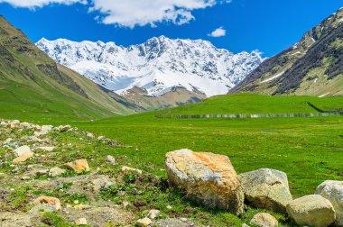 En yüksek yerleşim