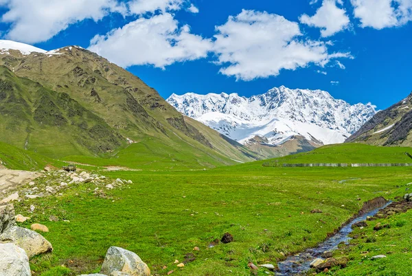 Kafkasya'da yeşil çayırlar