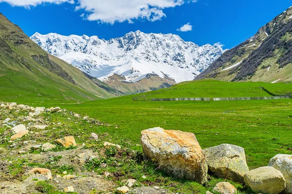 En yüksek yerleşim