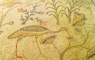 Mozaik heron ve ördek