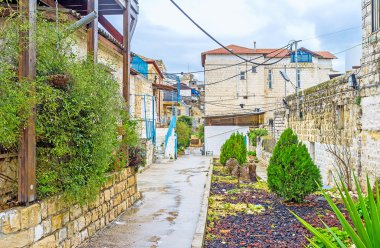 Eski Safed içinde yeşillik